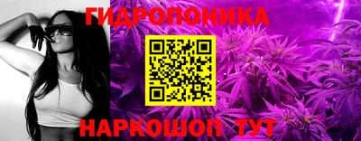 дурь Камышлов