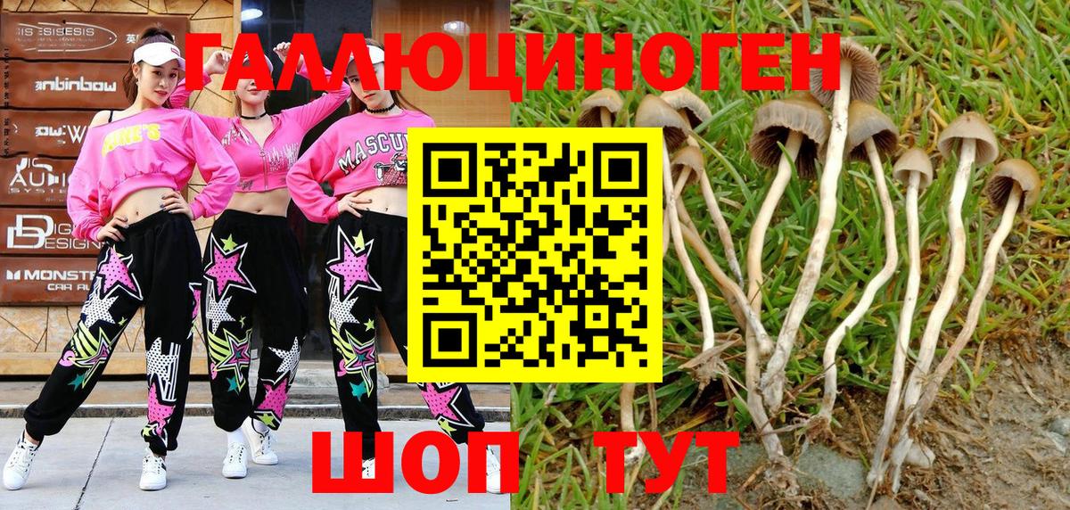 Галлюциногенные грибы MAGIC MUSHROOMS  Вход с VPN  Котовск 